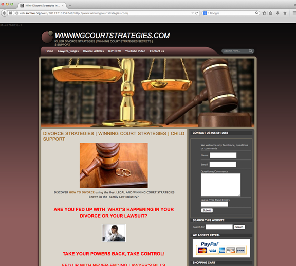 A December 2013 web archive version of winningcourtstrategies.com.